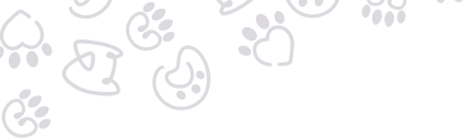 Dog and Cat Clinic Vellore
