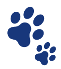 Dog and Cat Clinic Vellore