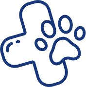 Dog and Cat Clinic Vellore