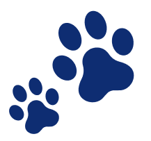 Dog and Cat Clinic Vellore