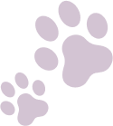 Dog and Cat Clinic Vellore